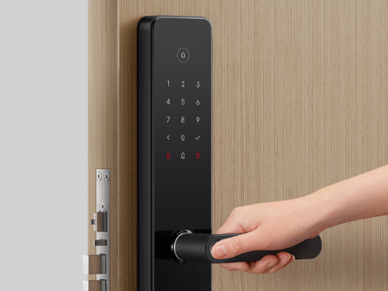 Smart Door/Garage Locks